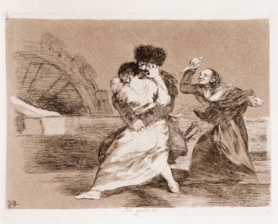 I disastri della guerra: Non vogliono da Francisco de Goya