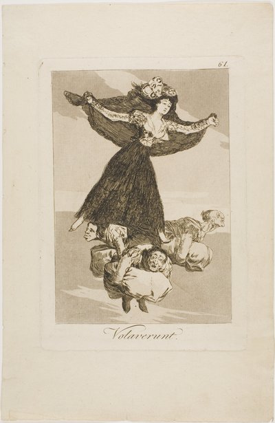 Sono volati via, tavola 61 da Los Caprichos da Francisco Jose de Goya y Lucientes