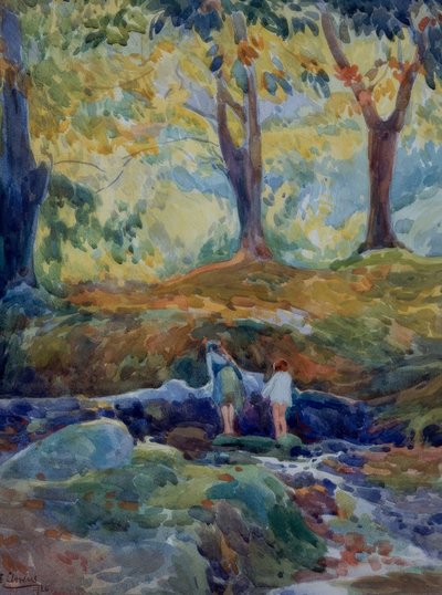 Bosco da Francisco Llorens Diaz