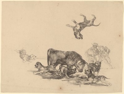 Toro Attaccato da Cani da Francisco de Goya