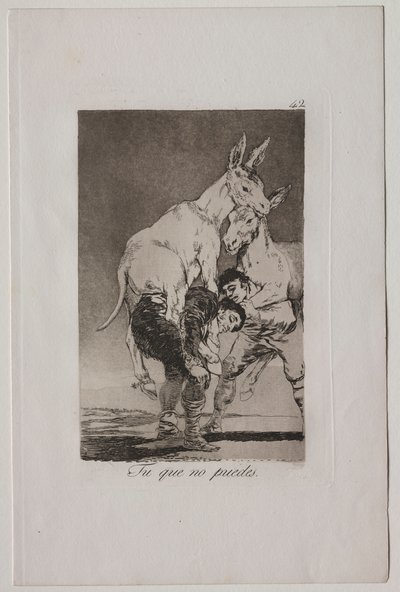 Capricci: Tu che non puoi da Francisco de Goya