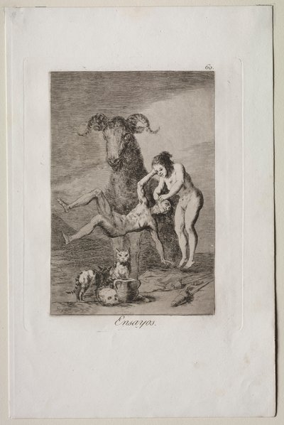 Caprichos: Prove da Francisco de Goya