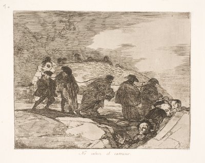 Non sanno dove (70) da Francisco de Goya