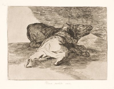 Ne ricava qualcosa! (40) da Francisco de Goya