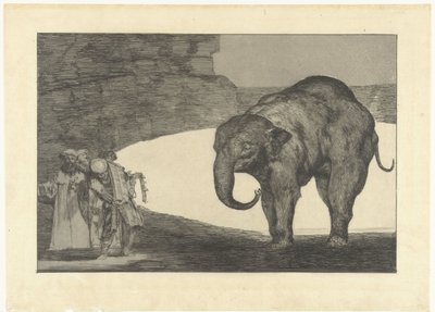 Follia della bestia da Francisco de Goya