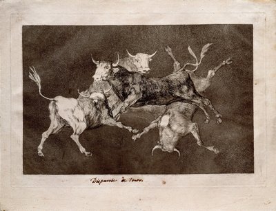 Follia dei folli dalla serie Los Disparates da Francisco de Goya
