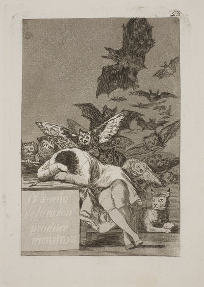 Il sonno della ragione genera mostri da Francisco de Goya