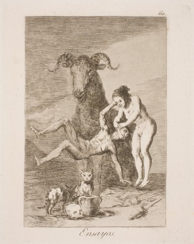 Esperimento da Francisco de Goya