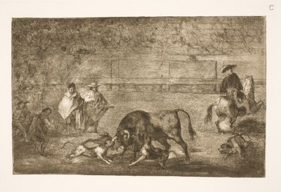 Cani lanciati contro il toro da Francisco de Goya
