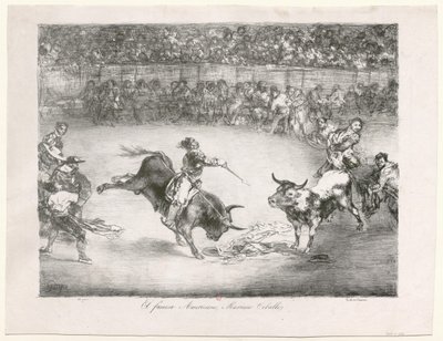  da Francisco de Goya