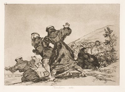 Anche questo (43) da Francisco de Goya