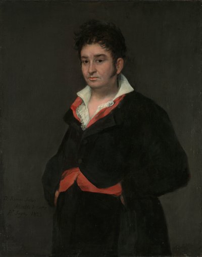 Ritratto di Don Ramón Satué da Francisco de Goya