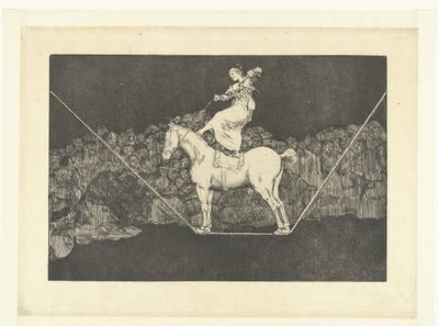 Follia precisa da Francisco de Goya
