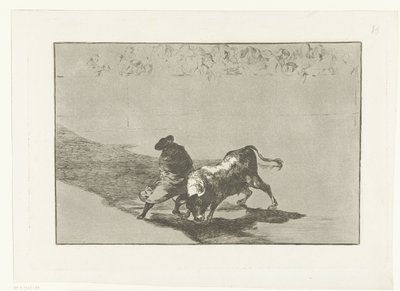 Torero in un