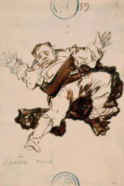 Strano sogno da Francisco de Goya