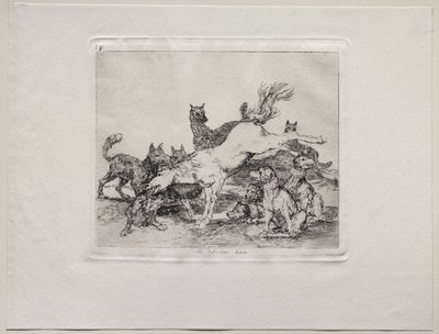 Gli orrori della guerra: Si difende bene da Francisco de Goya