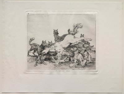 Gli orrori della guerra: Si difende bene da Francisco de Goya