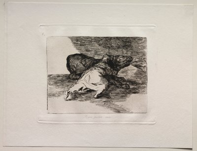 Gli orrori della guerra: ne ricava qualcosa da Francisco de Goya