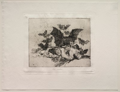 Gli orrori della guerra: Le conseguenze da Francisco de Goya