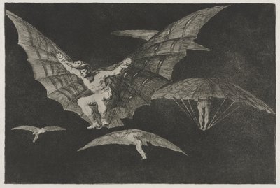 I proverbi: Un modo di volare da Francisco de Goya