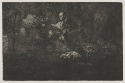 I proverbi: Dio li crea e loro si uniscono da Francisco de Goya