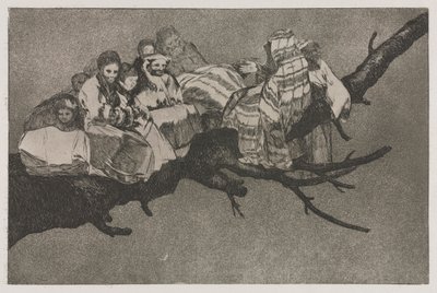 I proverbi: Follia ridicola da Francisco de Goya