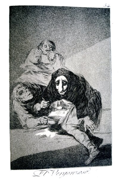 Il timido da Francisco de Goya