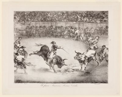 Il famoso americano, Mariano Ceballos: I tori di Bordeaux da Francisco de Goya