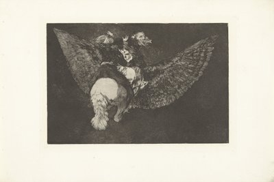 Follia volante da Francisco de Goya