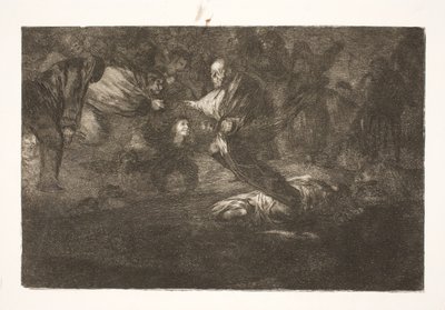 Il Signore li crea, e finiscono in bella unione / Uccelli con le stesse piume volano insieme da Francisco de Goya