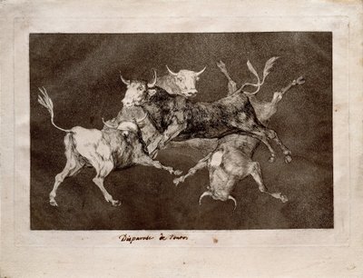 La follia del pazzo da Francisco de Goya