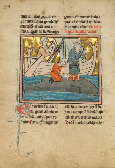 Un pescatore sulla schiena di una balena, 1277 o dopo da Franco Flemish School