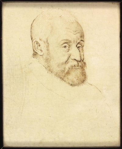 Un gentiluomo chiamato Henri Principe di Lorena da Franco Flemish School