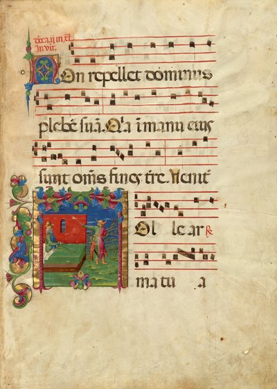 Foglio di un