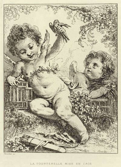La Tortorella Messa in Gabbia da Francois (after) Boucher