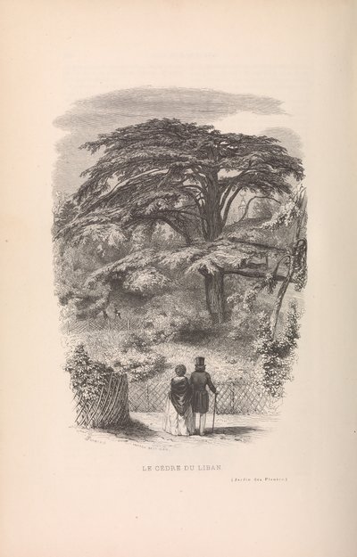 Le Jardin des Plantes, Descrizioni e costumi dei mammiferi da Francois Boitard