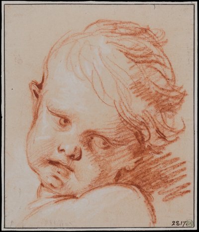 Testa di bambino da François Boucher