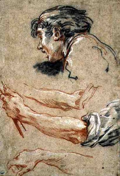 Testa di un ragazzo da François Boucher