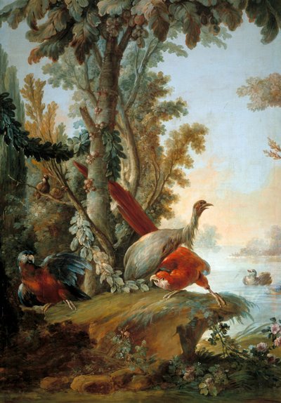 Aironi e pappagalli da François Boucher