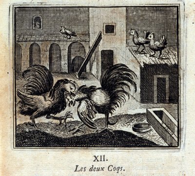 Entrambi i galli. Favole di Jean de La Fontaine. Illustrazione di François Chauveau. Edizione del 1728. da Francois Chauveau