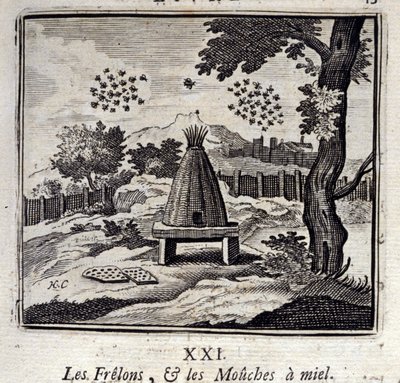 Calabroni e mosche del miele da Francois Chauveau