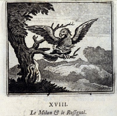 Il milano e l