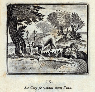 Il cervo che si vede nell