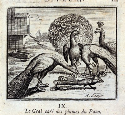 La ghiandaia si adorna di piume di pavone. Favole di Jean de La Fontaine. Illustrazione di François Chauveau. Edizione del 1728. da Francois Chauveau