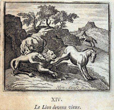 Il leone invecchiato da Francois Chauveau