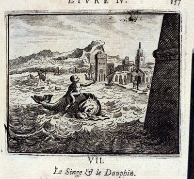 La scimmia e il delfino da Francois Chauveau