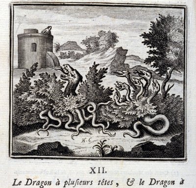 Il drago ha diverse teste e il drago ha diverse code da Francois Chauveau