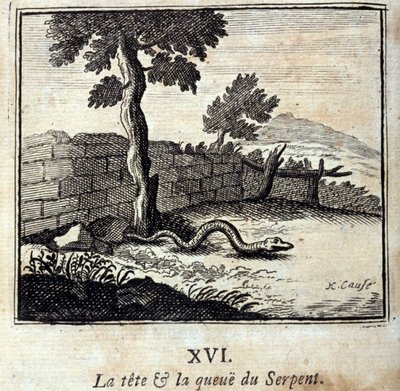 La testa e la coda del serpente. Favole di Jean de La Fontaine (1621-95). Illustrazione di François Chauveau (1613-1676). Edizione del 1728. da Francois Chauveau