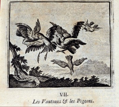 Avvoltoi e piccioni. Favole di Jean de La Fontaine (1621-95). Illustrazione di François Chauveau (1613-1676). Edizione del 1728. da Francois Chauveau