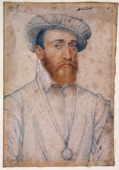 Ritratto di Francesco di Coligny, signore di Andelot (1521 - 1569). Disegno a sanguigna e pietra nera di François Clouet (1515-1572) da François Clouet